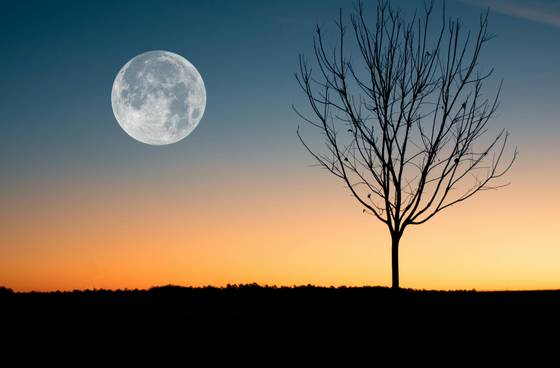 Moon Rising In Evening wallpaper for iPad mini (2266x1488)